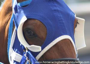 Why Horse Racing Equipment Is Used Blinkers On Or Blinkers Off