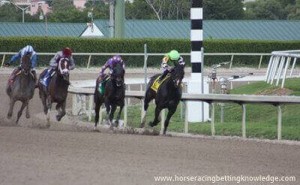 Horse Racing Track Surfaces - Dirt