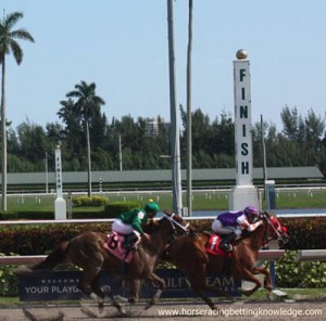 Horse Racing Finish Line