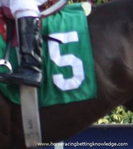 Horse Racing Saddle cloth numbers