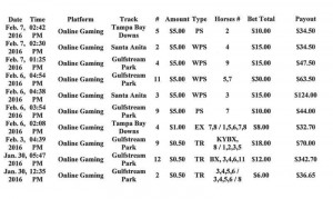 Horse Racing Betting Results