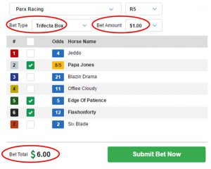 horse racings 10 cent superfecta system exe