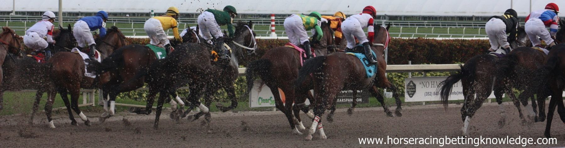 Horse Racing Betting Knowledge