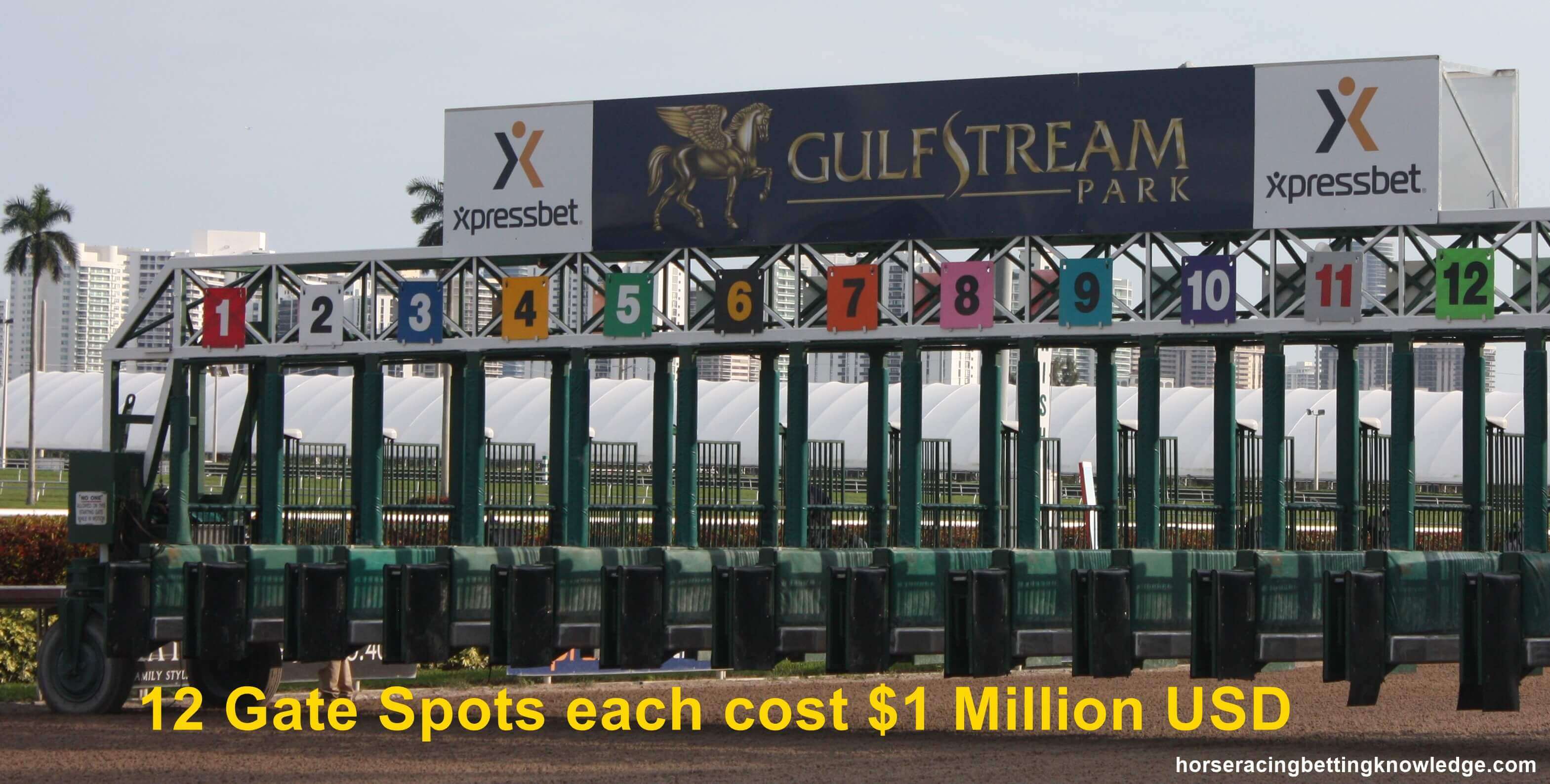 Pegasus World Cup at Gulfstream Park Richest Horse Race in the World