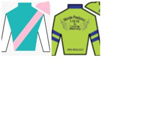 Pegasus Jockey Silks