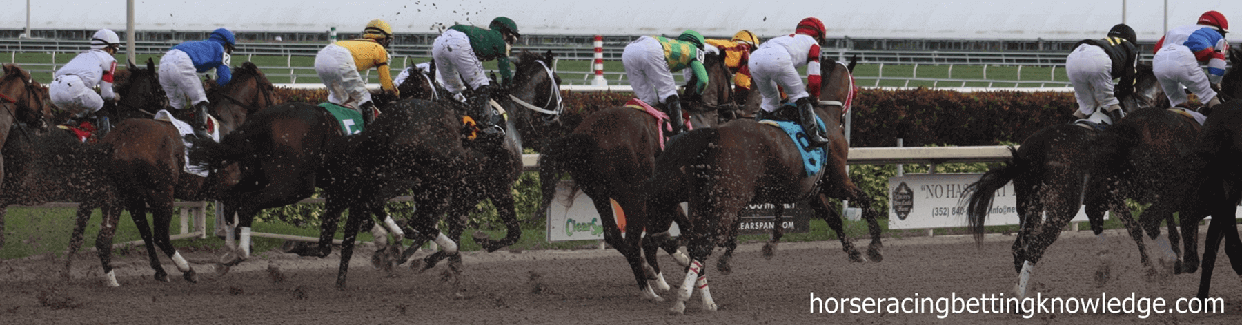 Horse Racing Betting Knowledge