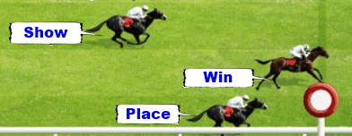 Beginner's Guide To Horse Racing