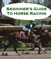 Beginners Guide to Horse Racing Betting