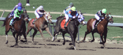 Types and Classes of Horse Racing