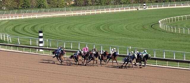 Horse Races This Weekend - 7-14-18 and 7-15-18