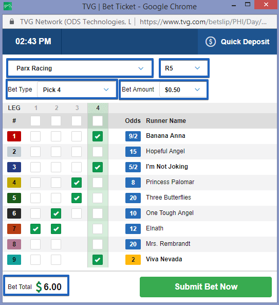 Horse Racing Pick 4 Ticket