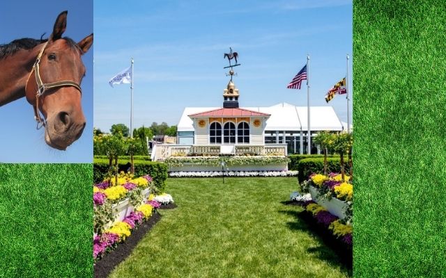 2020 Preakness Stakes