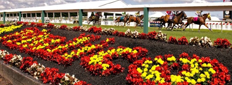 Pimlico Race Course