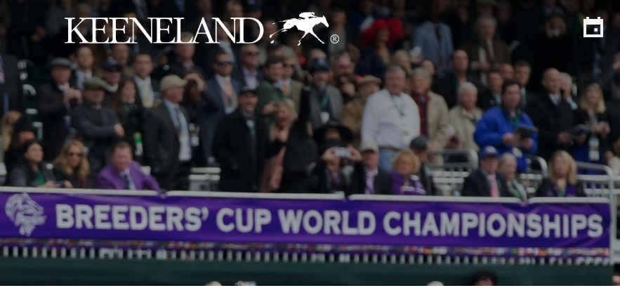 2020 Breeders Cup Contenders - Keeneland