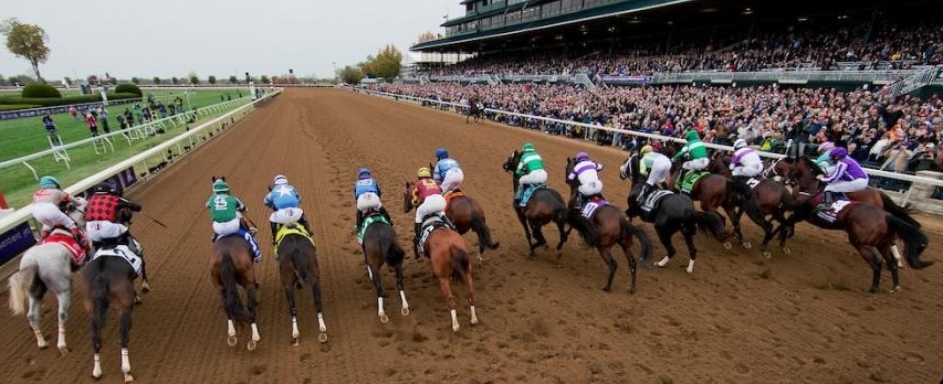 2020 Breeders Cup Contenders